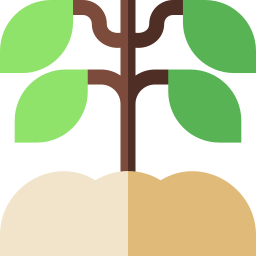 roślina kawy ikona