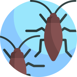 Insect icon