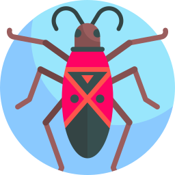Cotton stainer icon