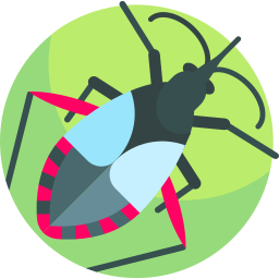 insecto asesino icono