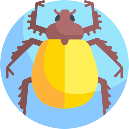 escarabajo orfebre icono