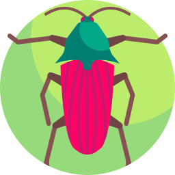 escarabajo mordedor icono