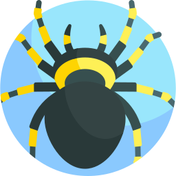 spinne icon