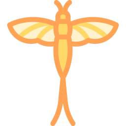 mayfly icona