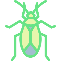 bug de planta Ícone