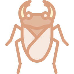 두꺼비 icon