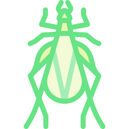 나무 귀뚜라미 icon