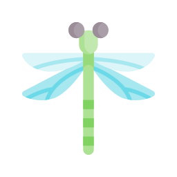 Dragonfly icon