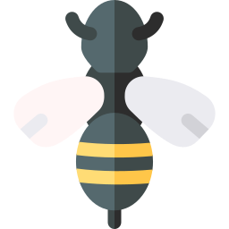 スズメバチ icon