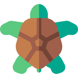 tortuga icono