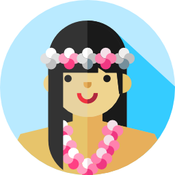 hawaiano icona