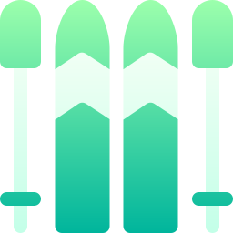 Skiing icon
