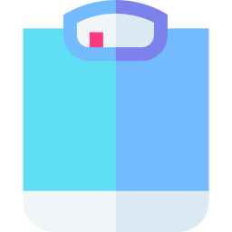 Scale icon