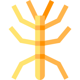 Палка насекомое иконка