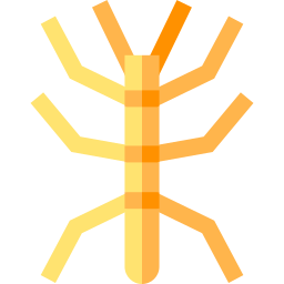 Stick insect icon