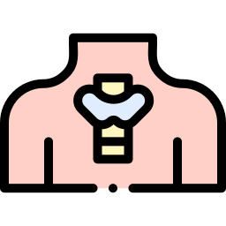endocrino icono