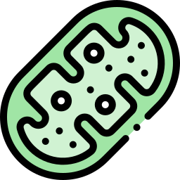 Mitochondria icon