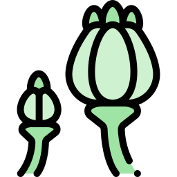 opium ikona