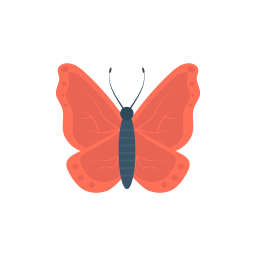 Butterfly icon