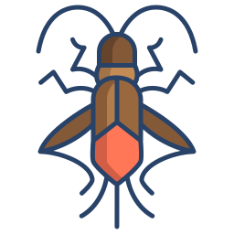 boxelder-bug icoon