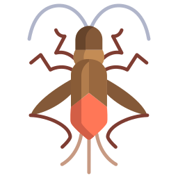 Boxelder bug icon