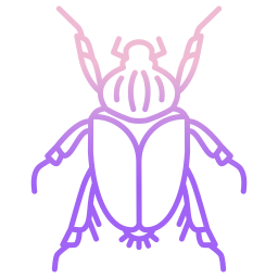 Beetle icon