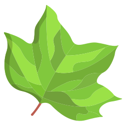 Leaf icon