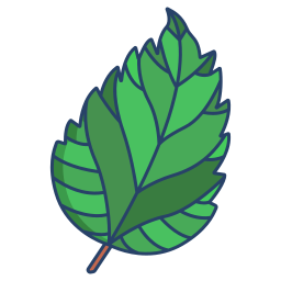 Hibiscus icon