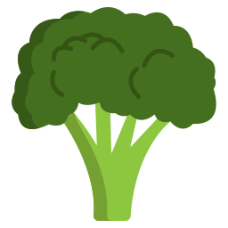 brocoli Icône