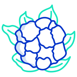 Cauliflower icon