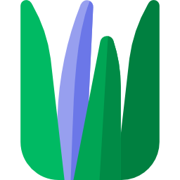 Aloe vera icon