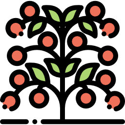 Tomato icon