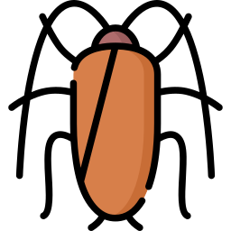 Cockroach icon