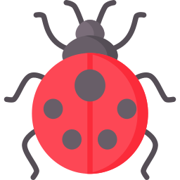 coccinelle Icône