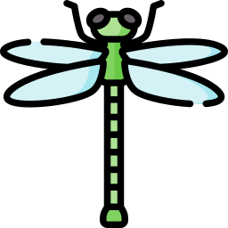 Dragonfly icon