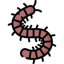 Centipede icon