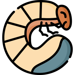 Grub icon