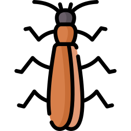 steenvlieg icoon