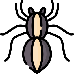 araignée-loup Icône