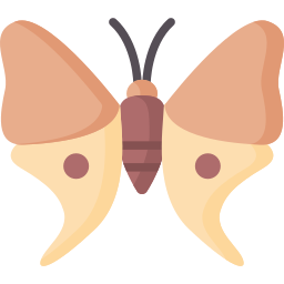 papillon Icône