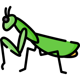 Praying mantis icon