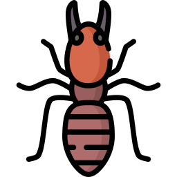 termite soldat Icône
