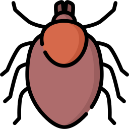 tick icon