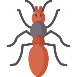 Красный муравей иконка