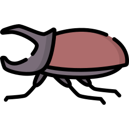 chrząszcz nosorożca ikona
