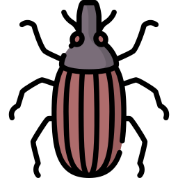 gorgojo icono
