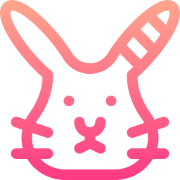 lapin Icône