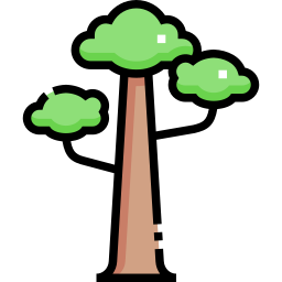 sequoia icona