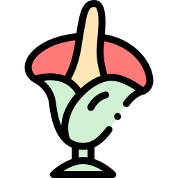 타이탄 아룸 icon