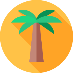 palm icoon